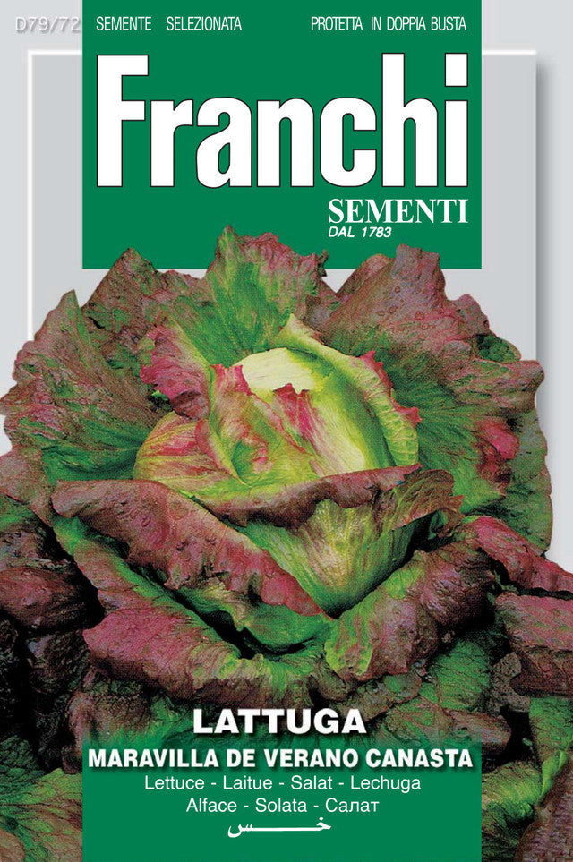 Franchi Lettuce Maravilla Canasta