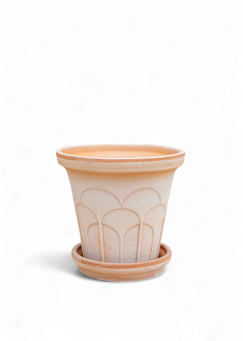 Bergs Potter - Fleur Raw Rosa - 14cm Dia Pot