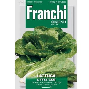 Franchi Cos Lettuce 'Little Gem'