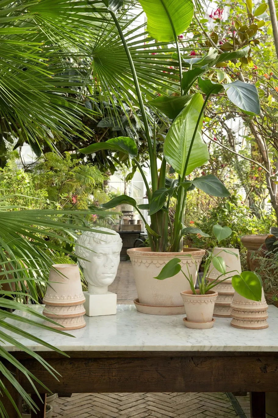 New pots for a new year