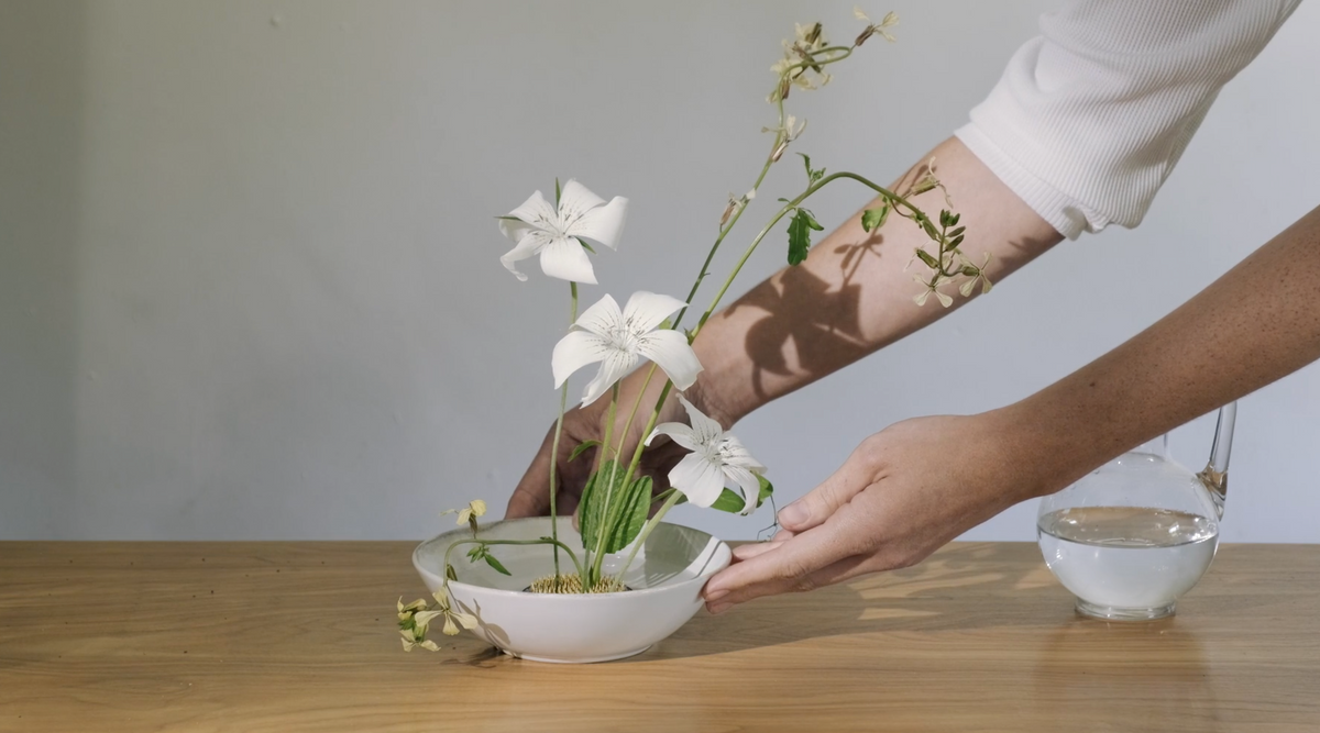 For the Budding Florist