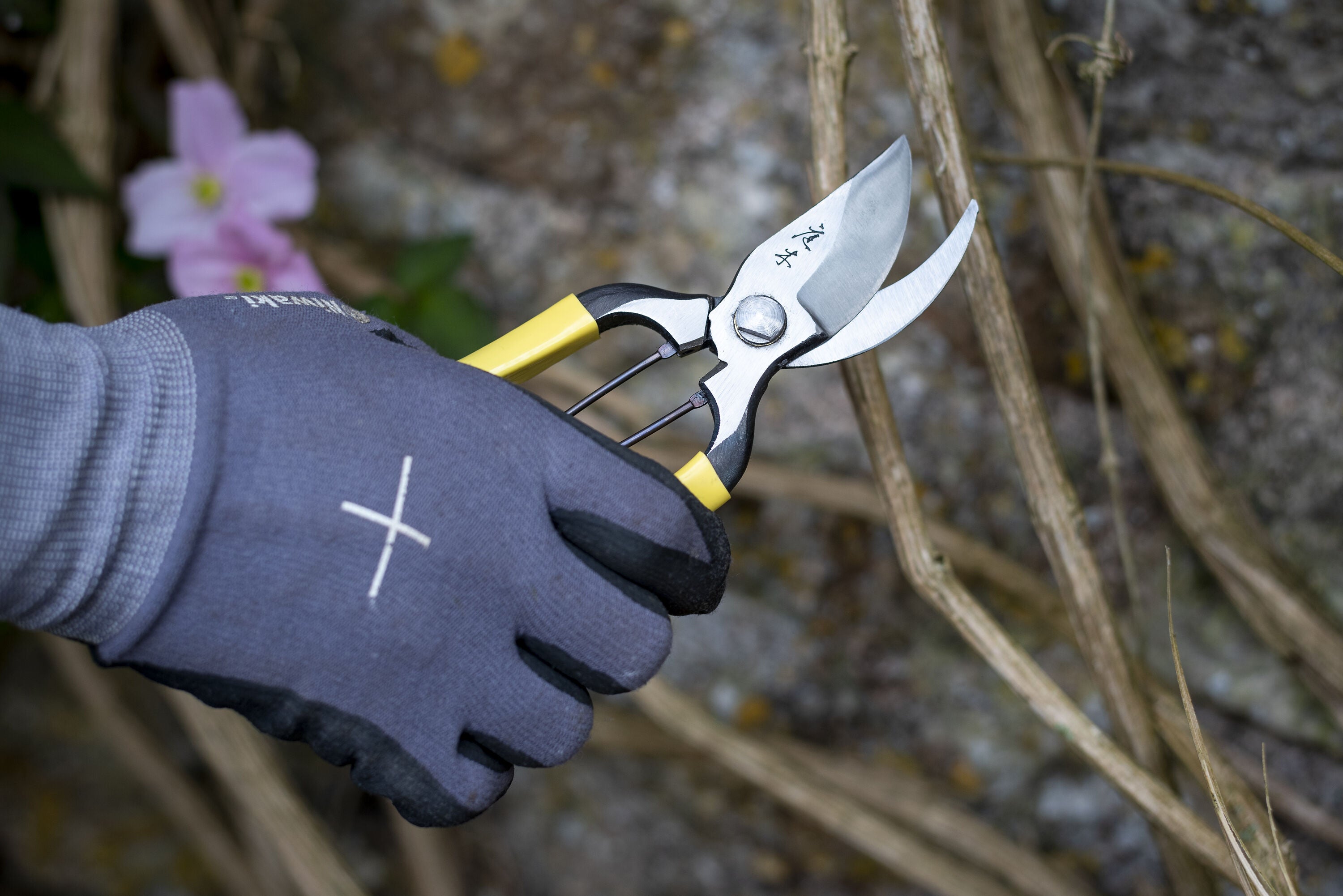 Garden Tools & Accessories
