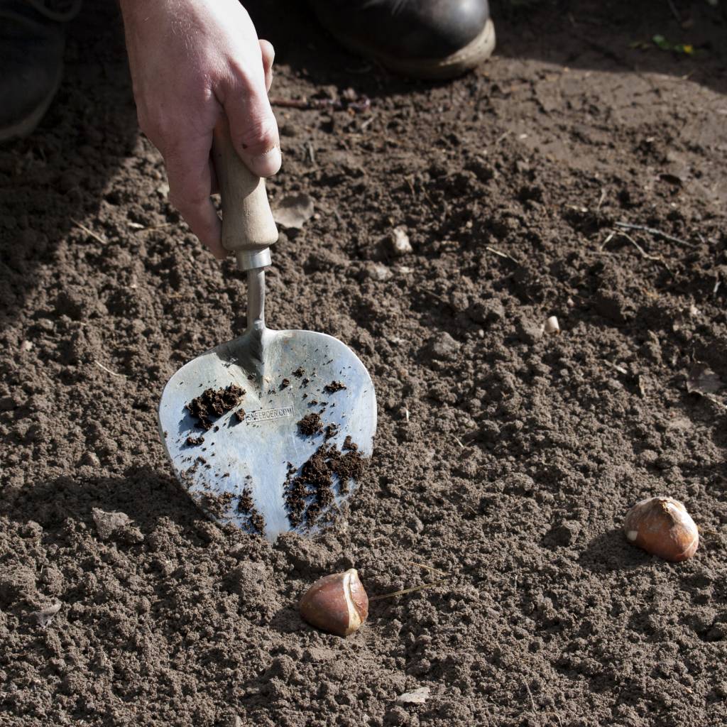 Garden Tools & Accessories