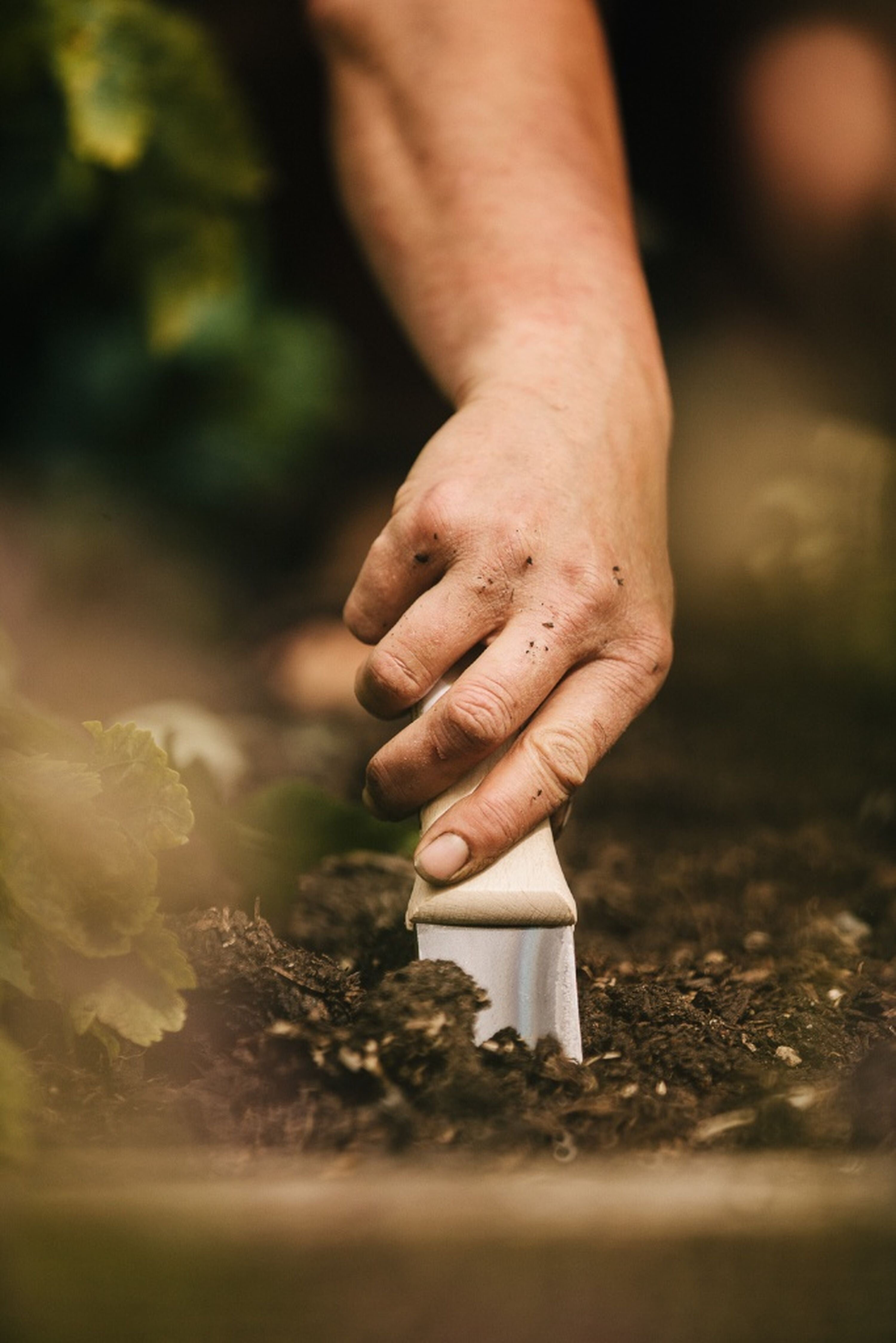 Gifts for Gardeners