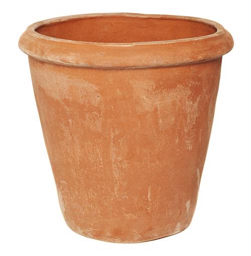 The Pot Company Terracini Camelia Pot/ 20x20cm