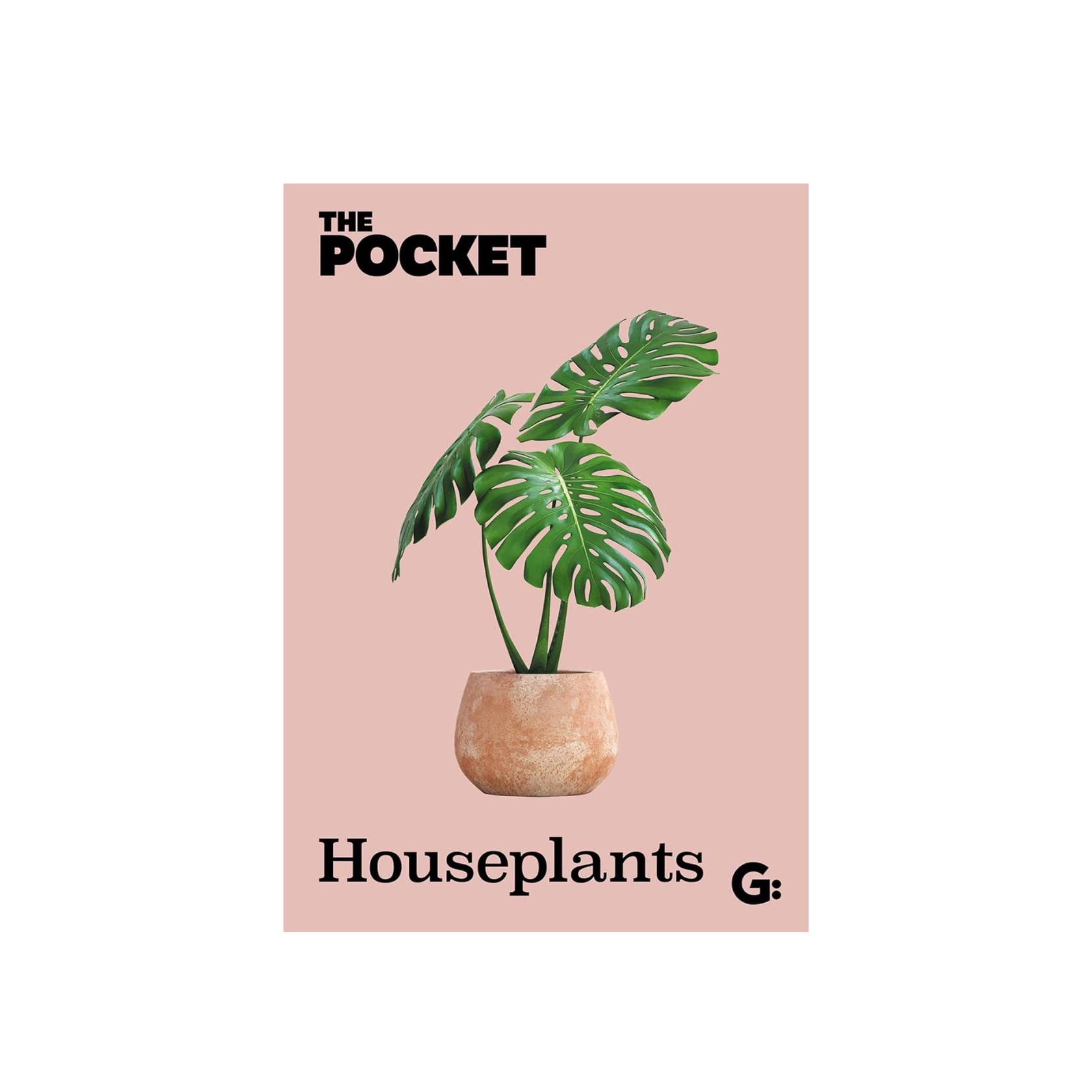The Pocket Houseplants