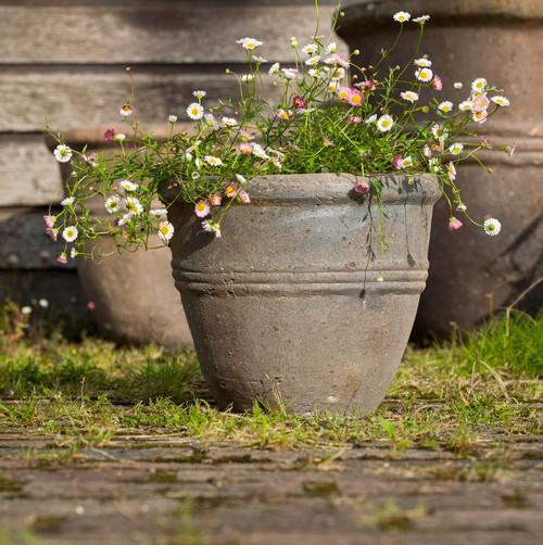 The Pot Co. Lined Cylinder- Old Ironstone