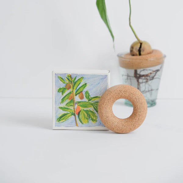 Pepin - Avocado Float / Samantha Kerdine
