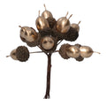 Matt Gold Acorn Pick Bunch .
