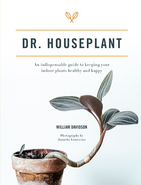 Dr Houseplant