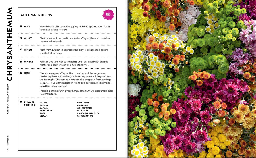 Super Bloom Handbook: Maximum Flowers