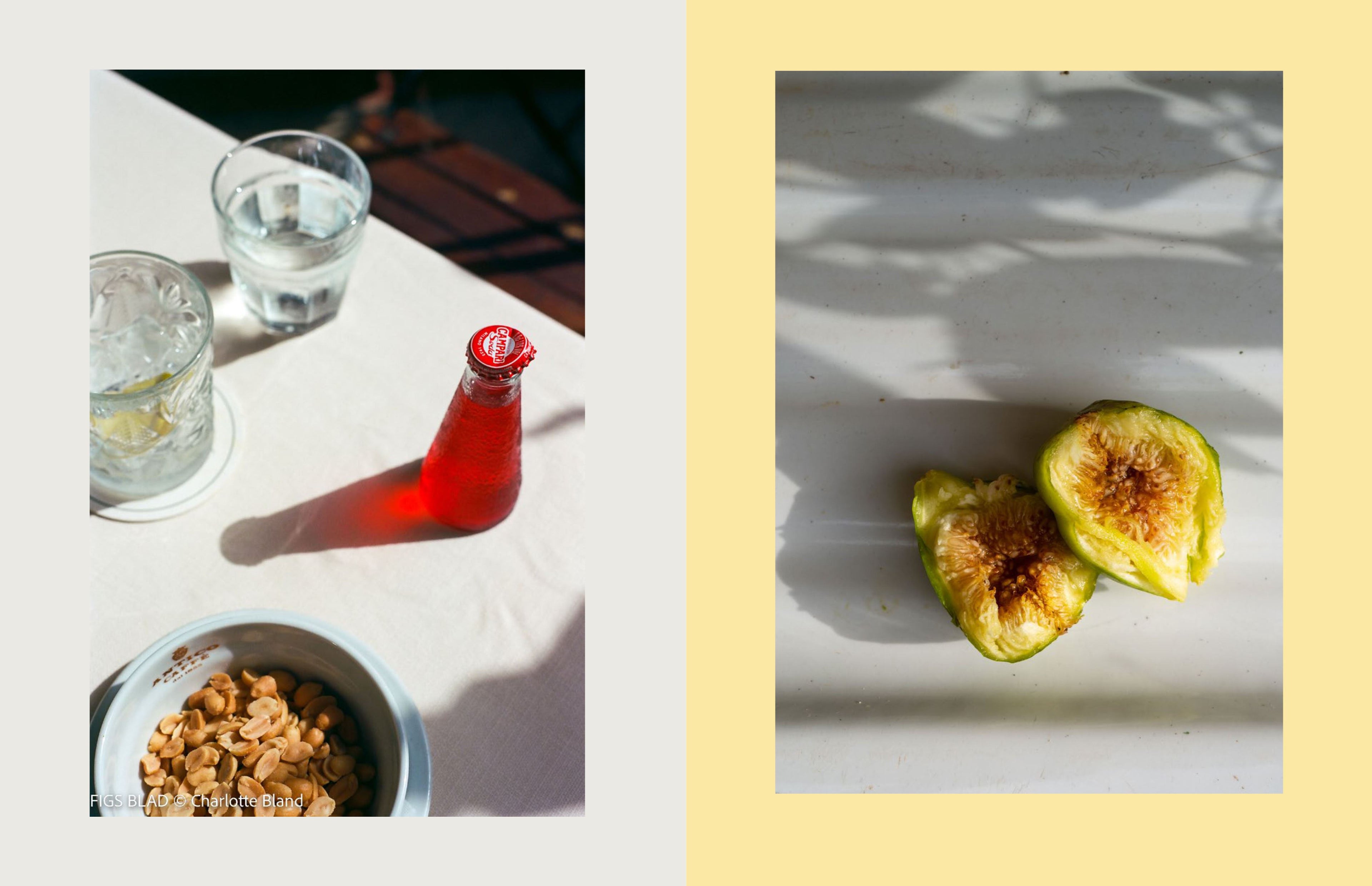 Wild Figs and Fennel: A Year in an Italian Kitchen
