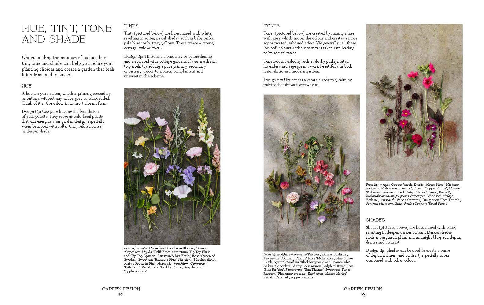 How Does Your Garden Grow? by Milli Proust