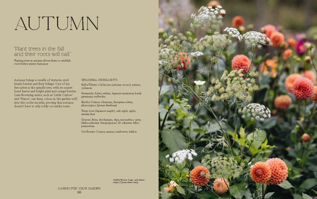 How Does Your Garden Grow? by Milli Proust