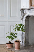 Bergs Potter -  Copenhagen Raw Rosa (Tall) - 18cm Dia Pot