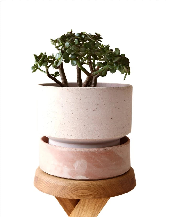 Bergs - The Hoff Plant Pot & Saucer Rose 30 cm