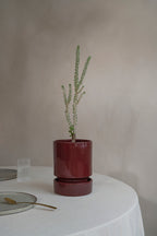 Bergs Potter - Hoff Glazed Burgundy - 14cm Dia Pot