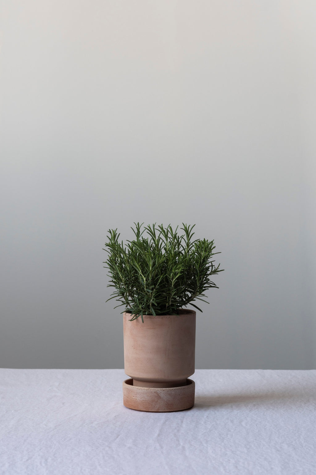 Bergs Potter - Hoff Raw Rosa - 12cm Dia Pot