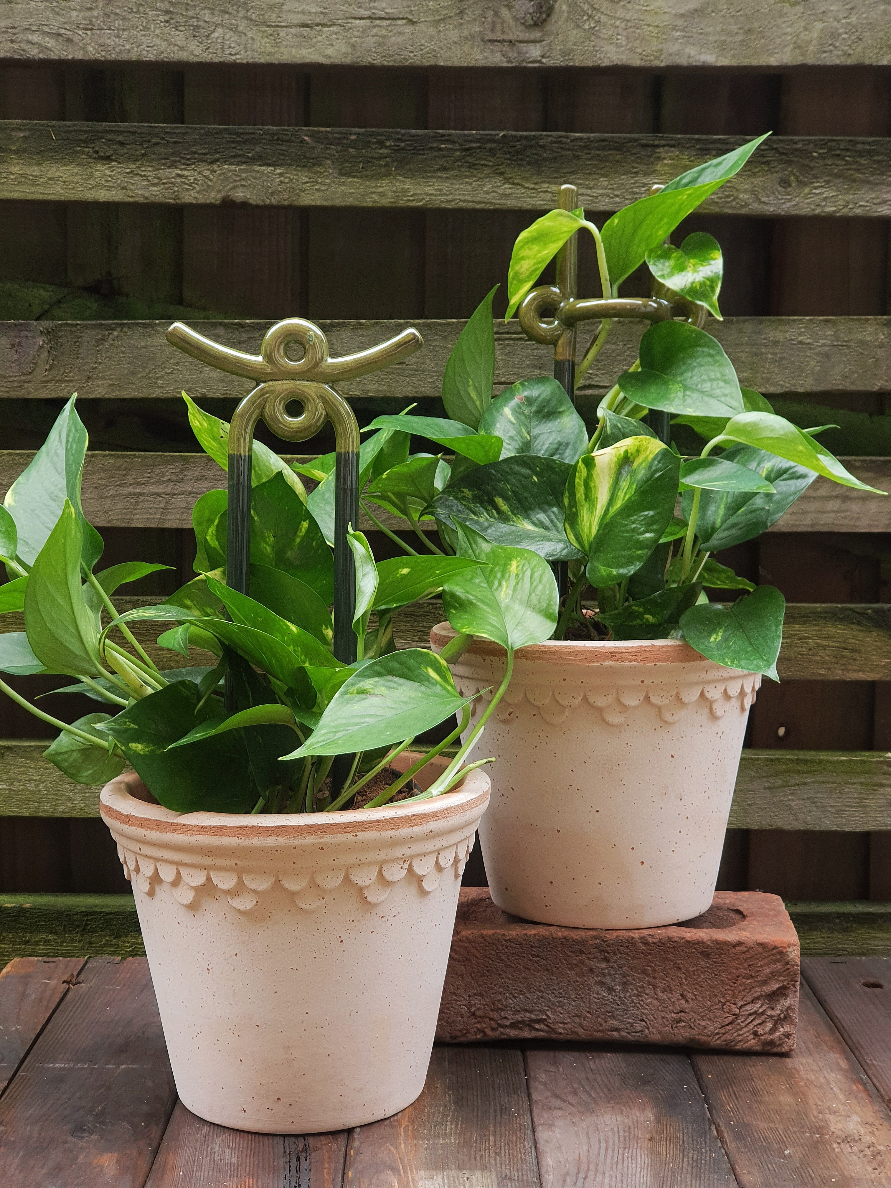 Bergs Potter - Folk / Yuma - Moss Green - Plant Stake