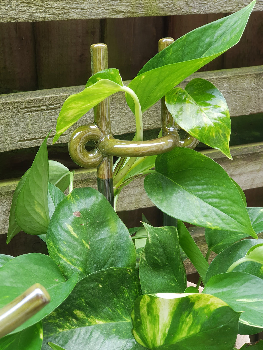 Bergs Potter - Folk / Hinto - Moss Green - Plant Stake