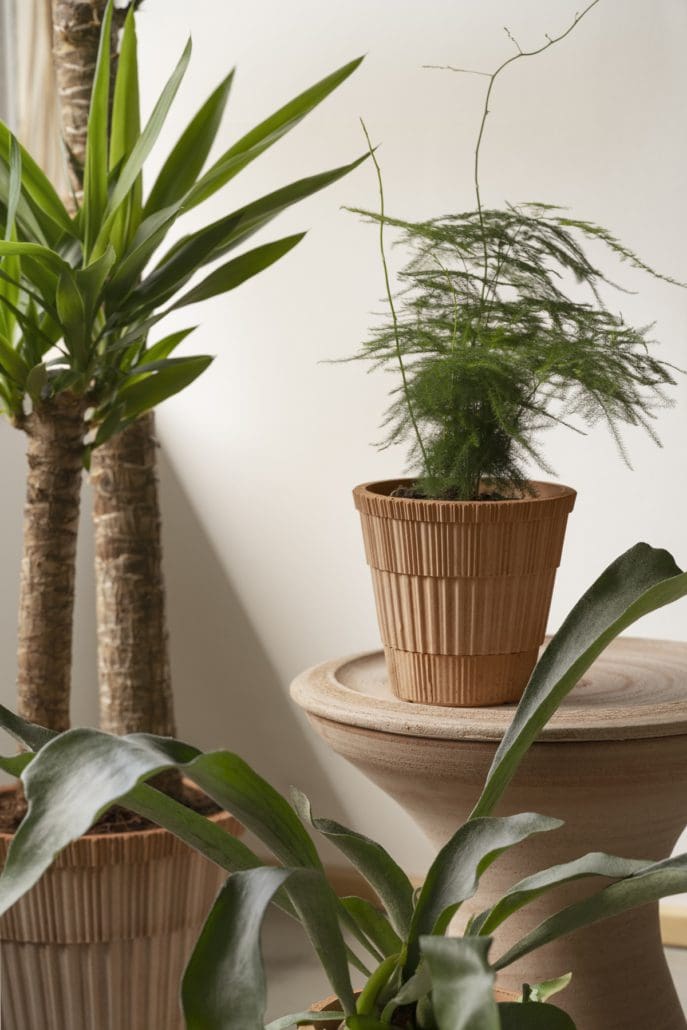 Bergs Potter - Atlas Raw Rosa - 18cm Dia Pot