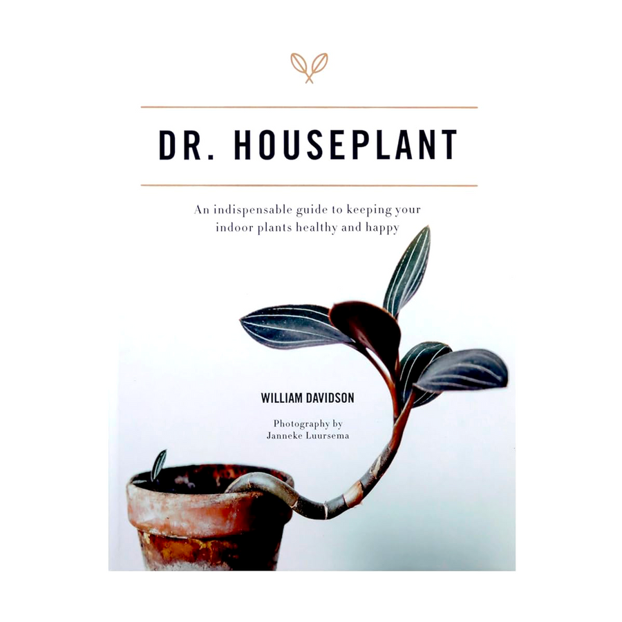 Dr Houseplant