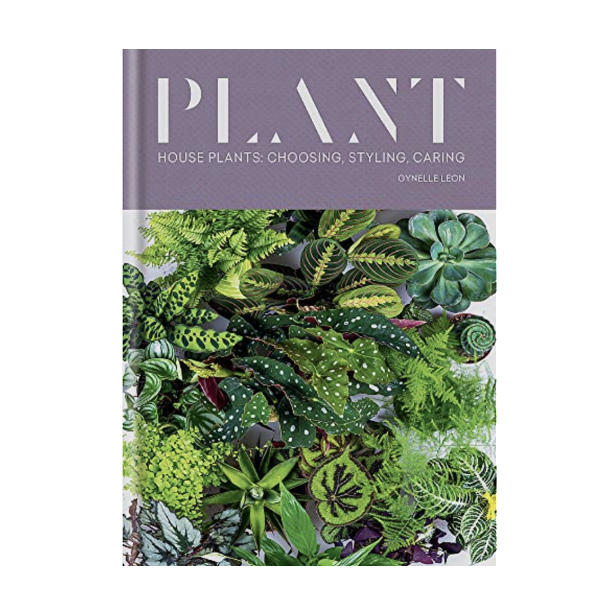 Plant: Houseplants Choosing Styling Caring