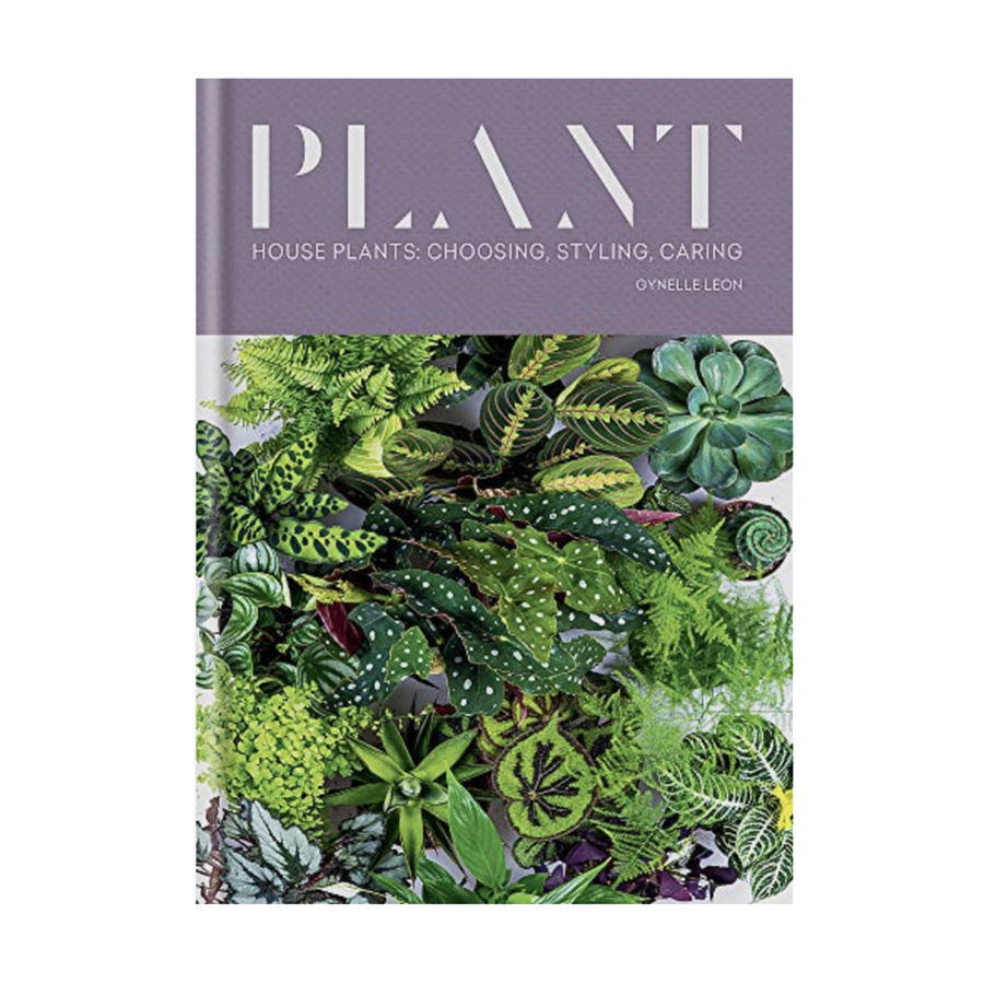 Plant: Houseplants Choosing Styling Caring