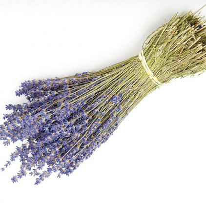 Shropshire Petals Lavender Bundle