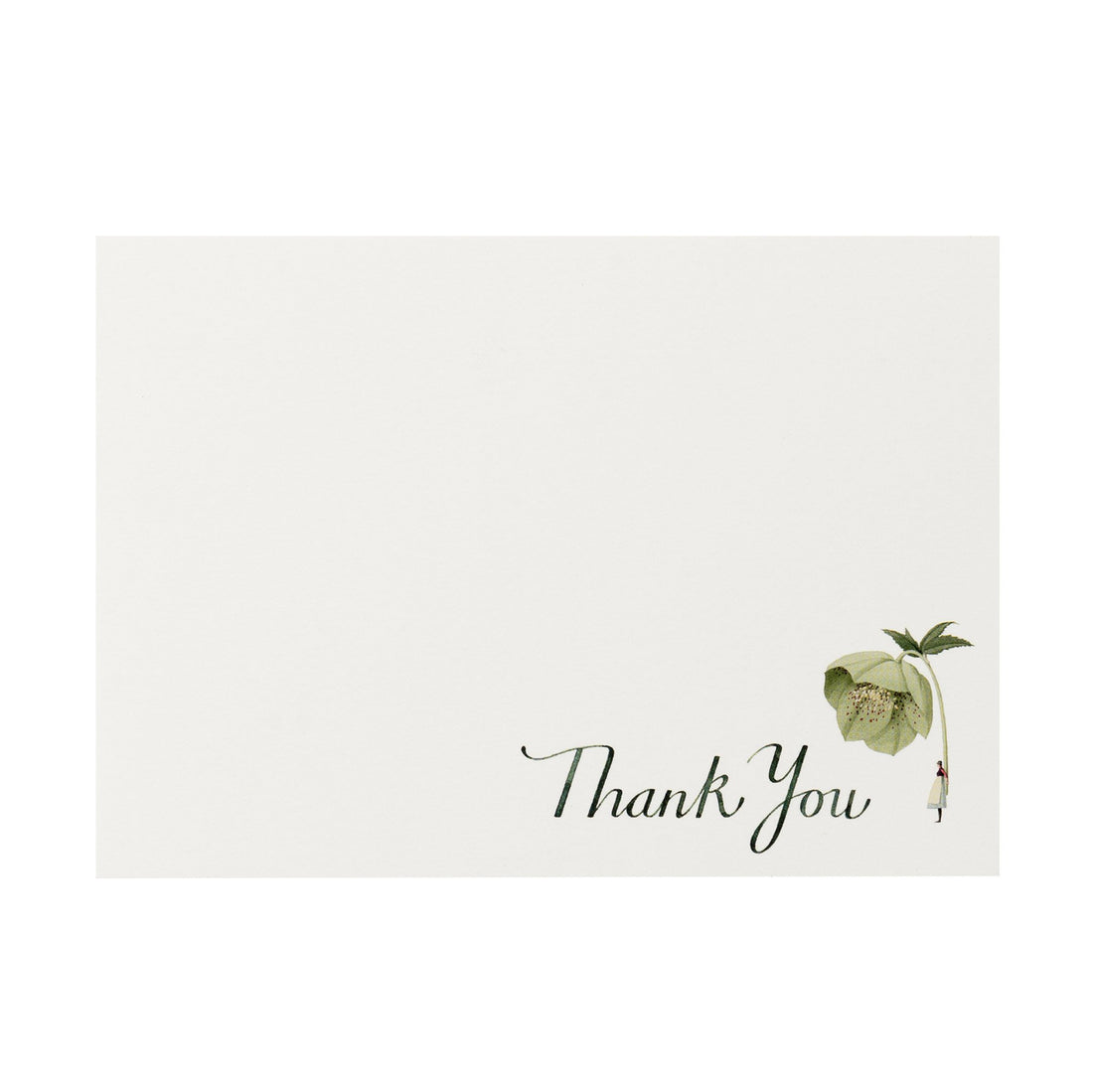Laura Stoddart - Flat Notes Thank You Green Hellebore
