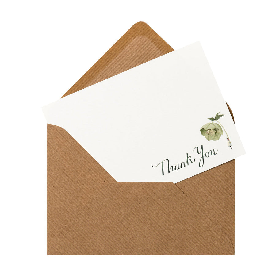 Laura Stoddart - Flat Notes Thank You Green Hellebore