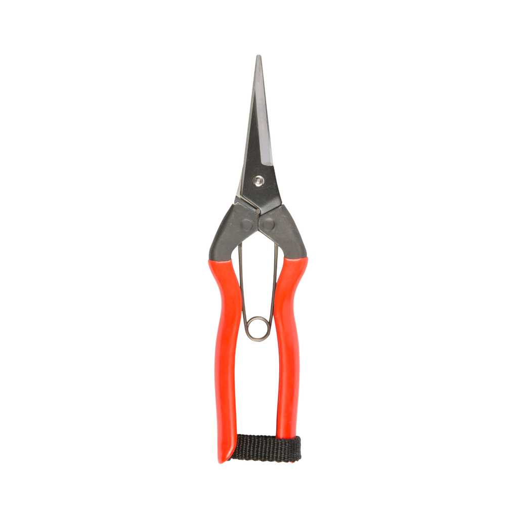 Niwaki Garden Snips