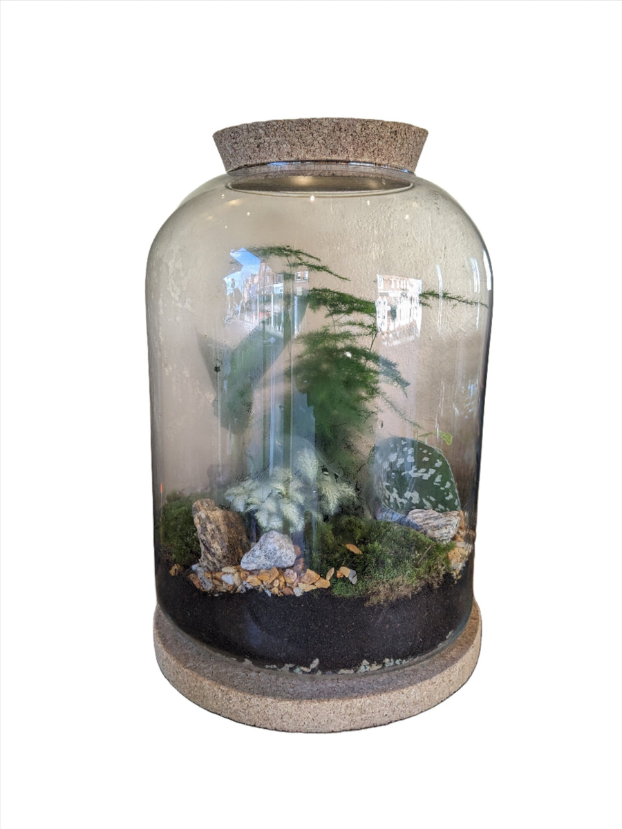 Glass Terrarium