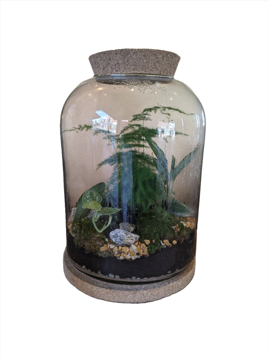 Glass Terrarium