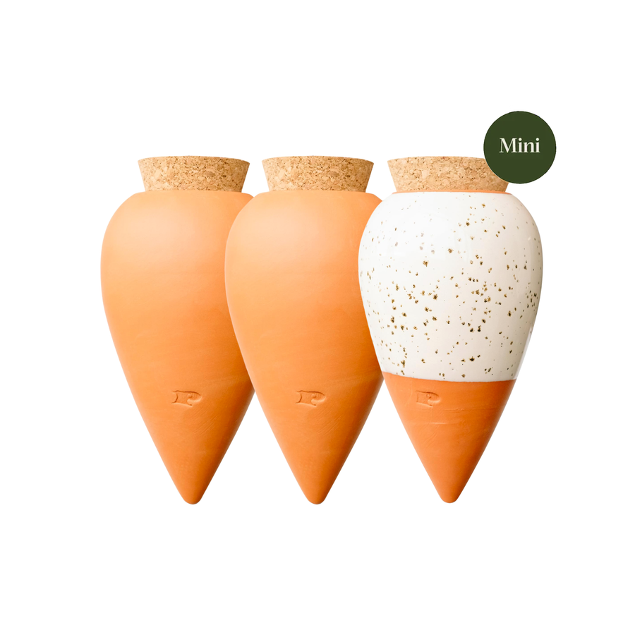 Pepin - Olla / Mini Trio