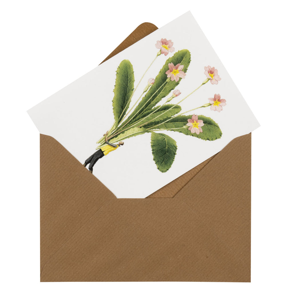 Laura Stoddart - Boxed 8 Card Set "Spring Flowers"