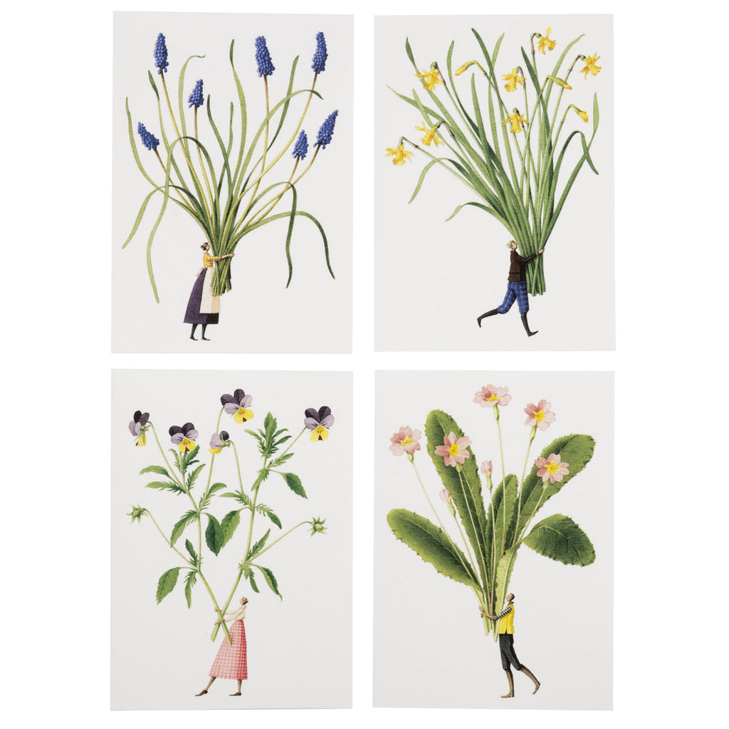 Laura Stoddart - Boxed 8 Card Set "Spring Flowers"