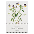 Laura Stoddart - Boxed 8 Card Set "Spring Flowers"