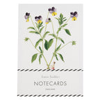 Laura Stoddart - Boxed 8 Card Set "Spring Flowers"
