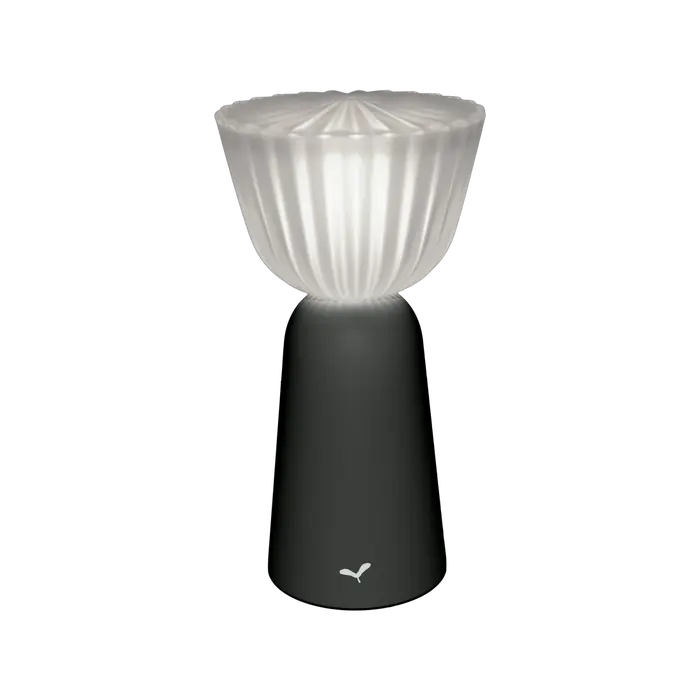 Fermob - Swiing Lamp | Anthracite