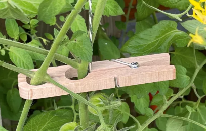 Redecker- Planting Clamps