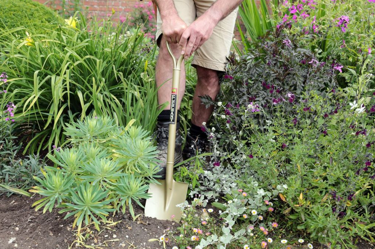 Our favourites for the Garden