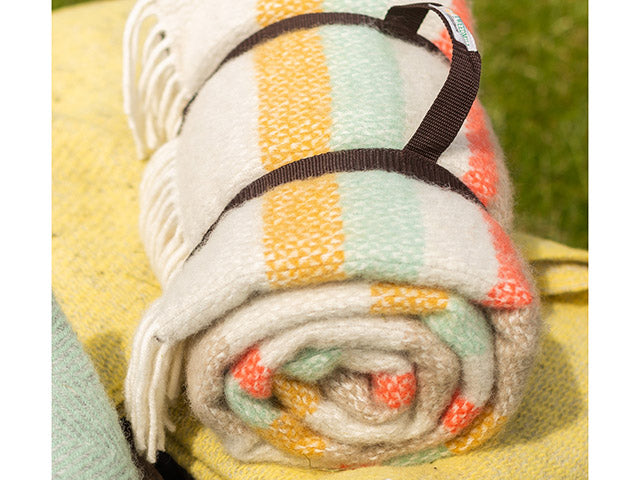 Tweedmill Textiles- Polo  Picnic Rug/ Illusion Stripe Spring