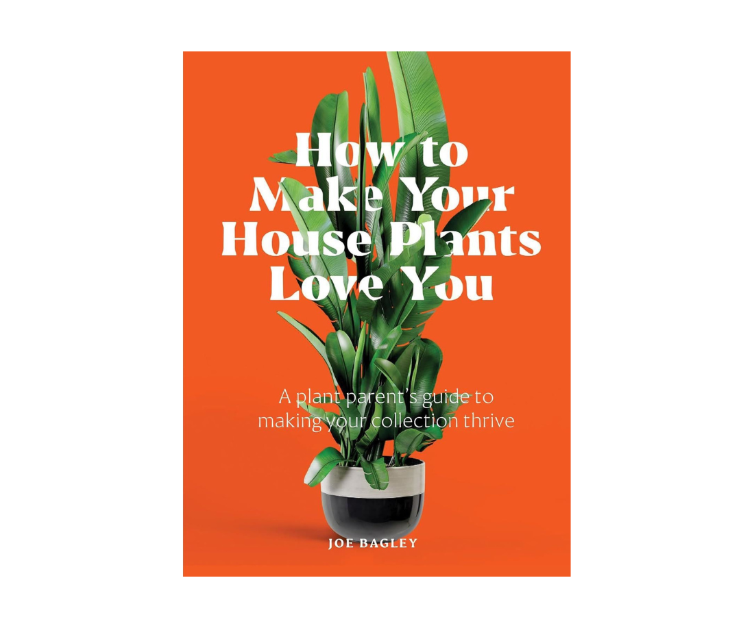 How To Make Your House Plants Love You