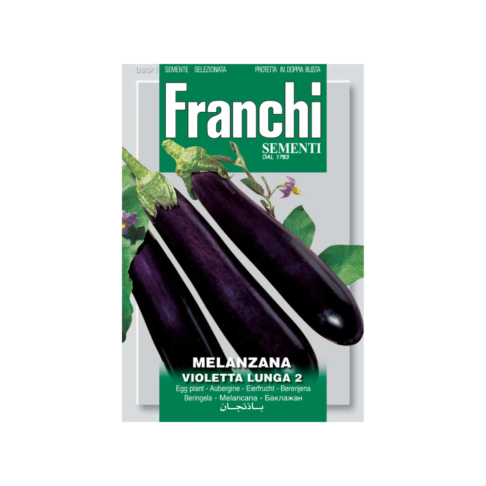 Franchi - Aubergine Violetta Lunga