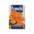 Franchi - Calendula Semplice Orange