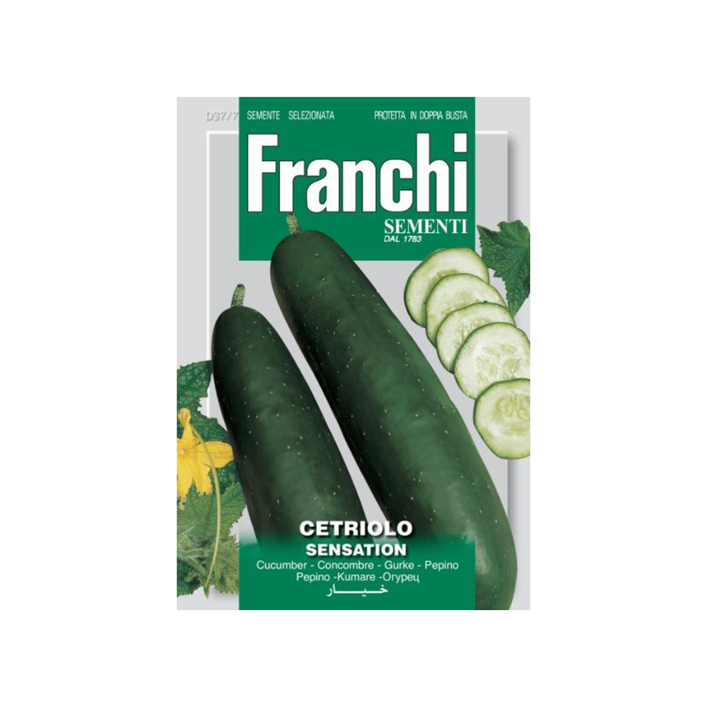 Franchi - Cucumber Sensation
