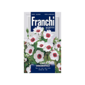 Franchi - Flax Ornamental - Lino