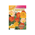 Franchi - Poppy Nadicaule Excelsior