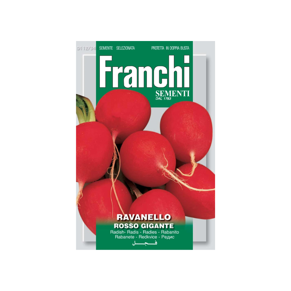 Franchi - Radish Rosso Gigante